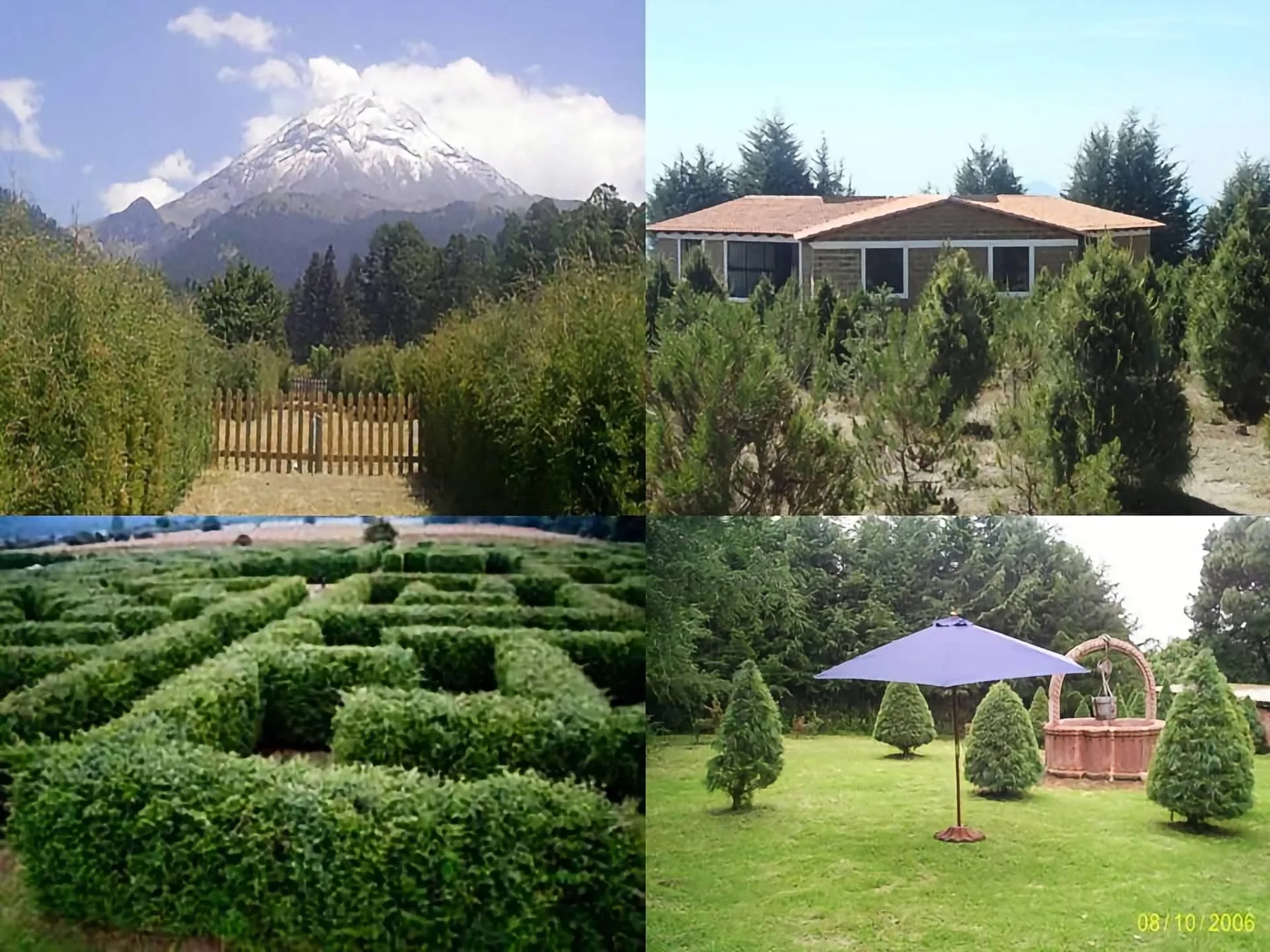 Collage de bosque, laberinto y jardines
