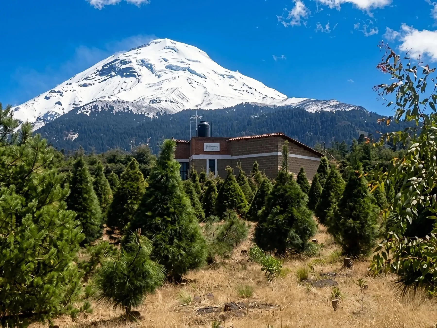 Vista del Popocatépetl desde Ecoparque San Pedro