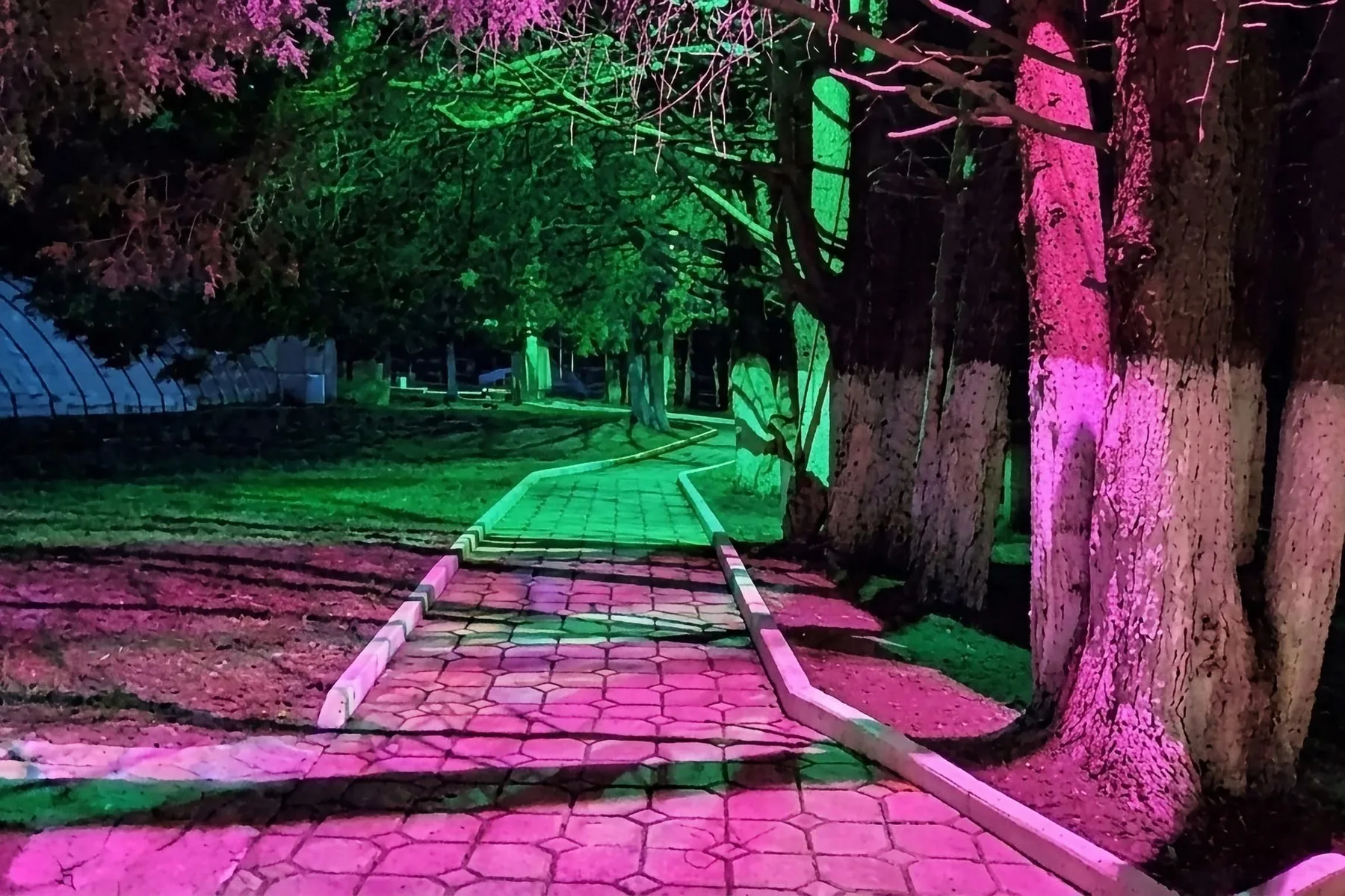 Bosque con vista a la sierra